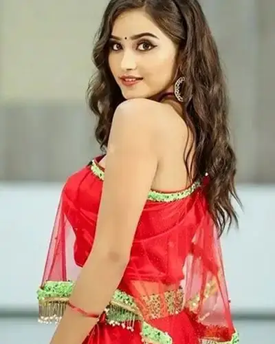 Call Girls Service Amberpet